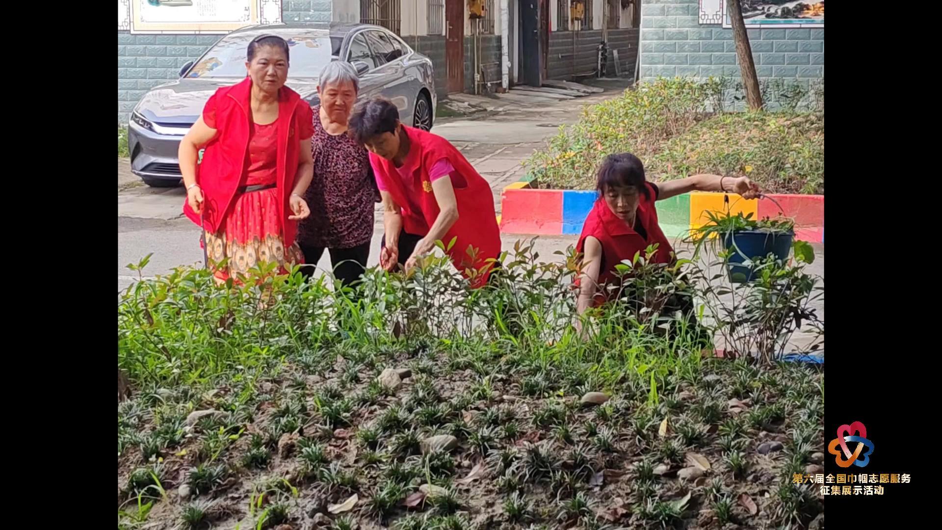 新都区石板滩街道仁和场社区“一米菜园”环保志愿服务项目